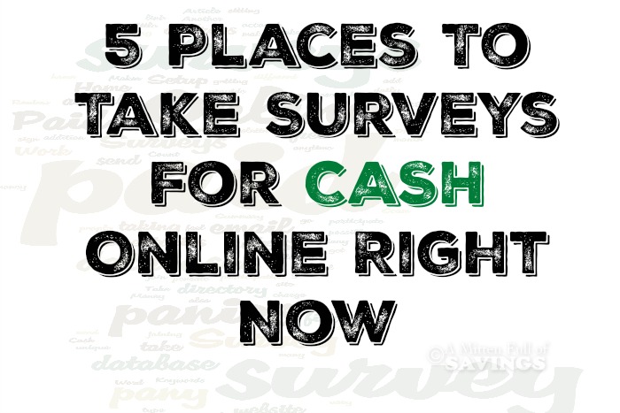 Places To Take Surveys For CASH Online Right Now